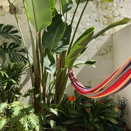 Appartement The Monkey Flat *