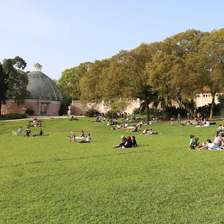 Apartament The Monkey Flat