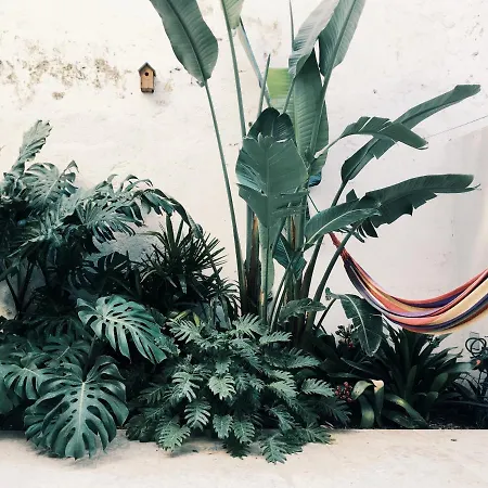 The Monkey Flat * Lissabon