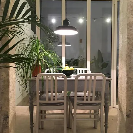 The Monkey Flat Apartment *