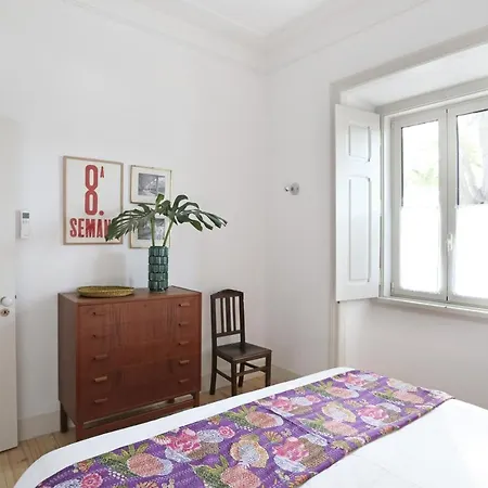 Apartment The Monkey Flat