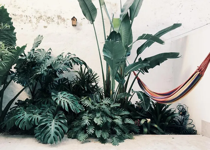 The Monkey Flat * ליסבון